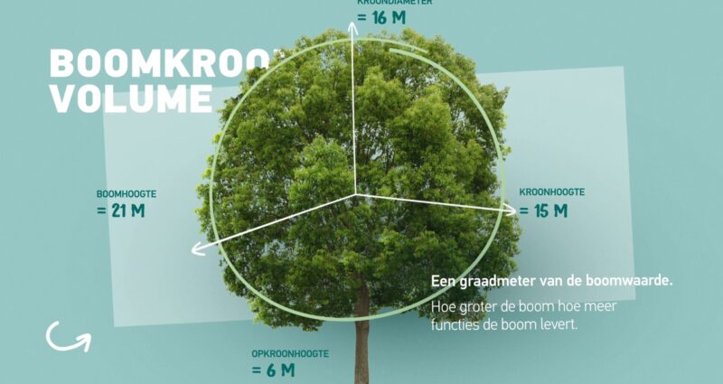 boomkroonvolume berekenen